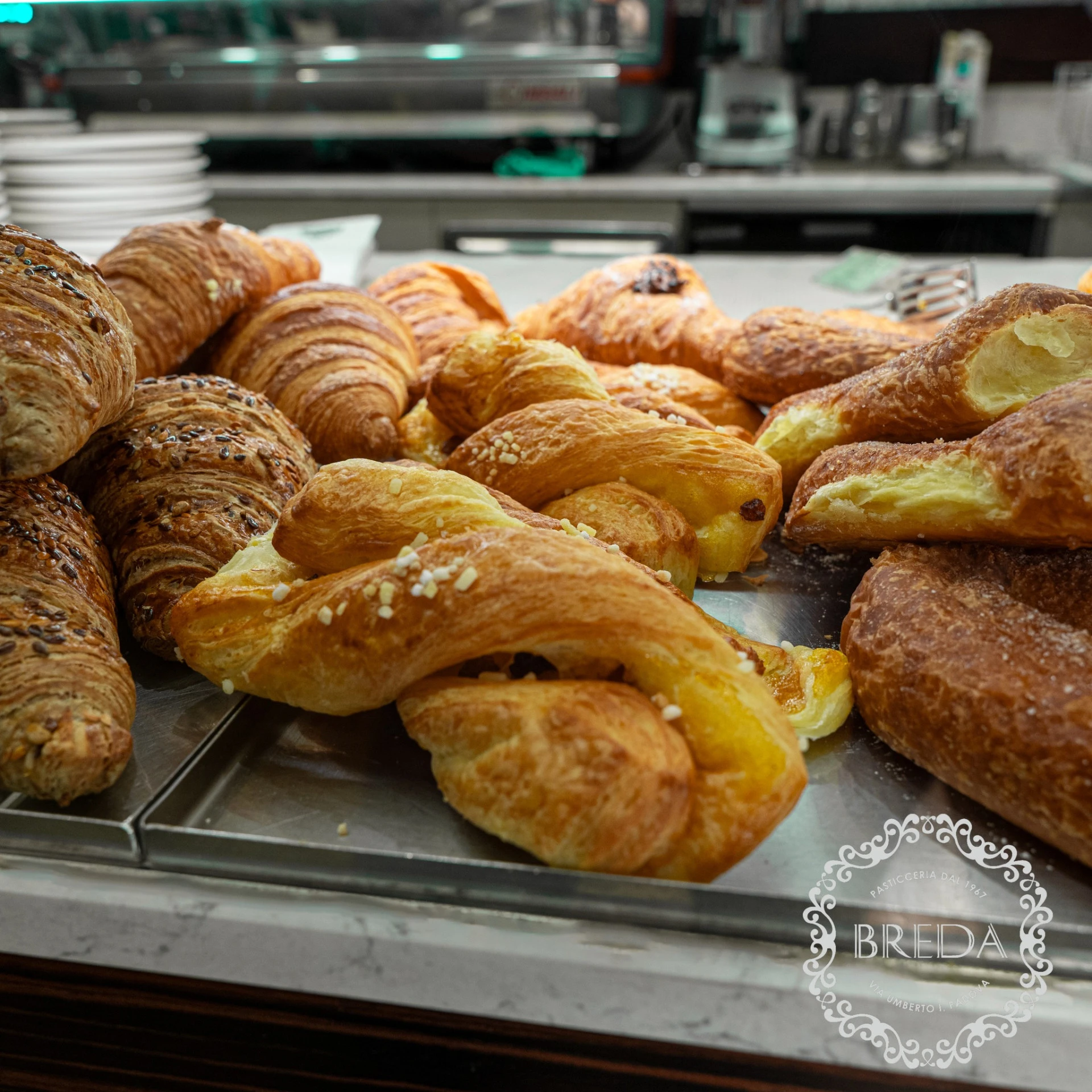 4868217641135454508528882591535719908963061n.jpg 4868217641135454508528882591535719908963061n.jpg