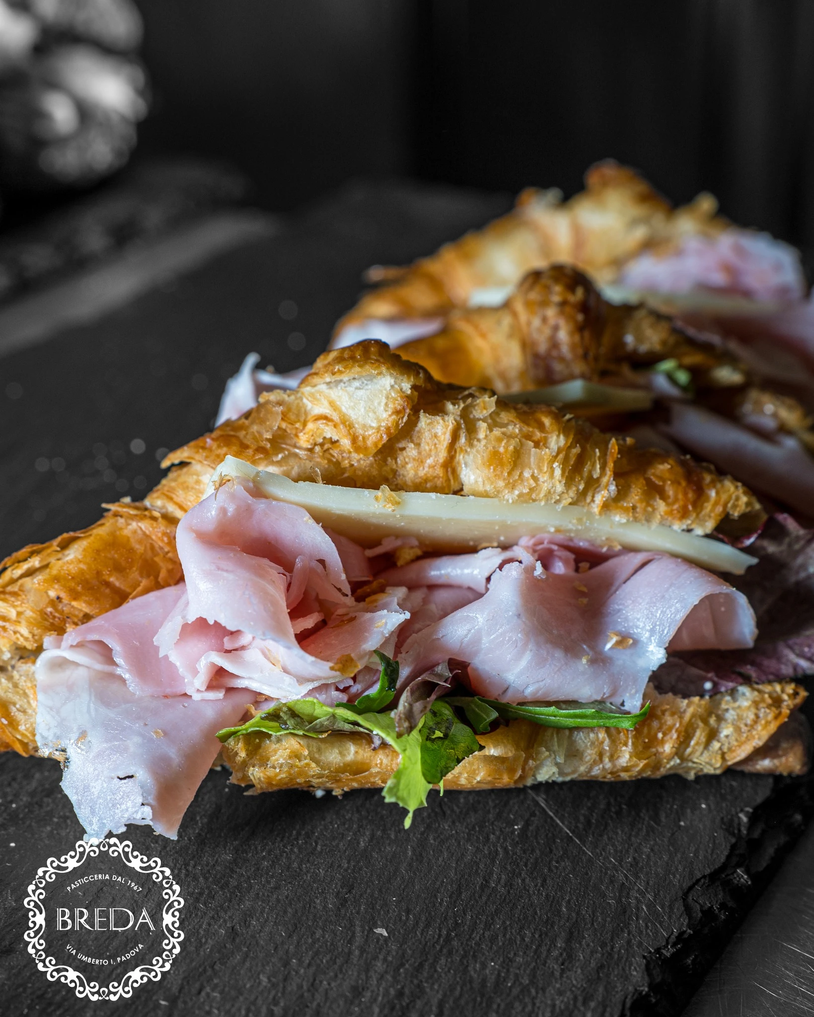 48777429111375577116518951330023148047399385n.jpg 48777429111375577116518951330023148047399385n.jpg